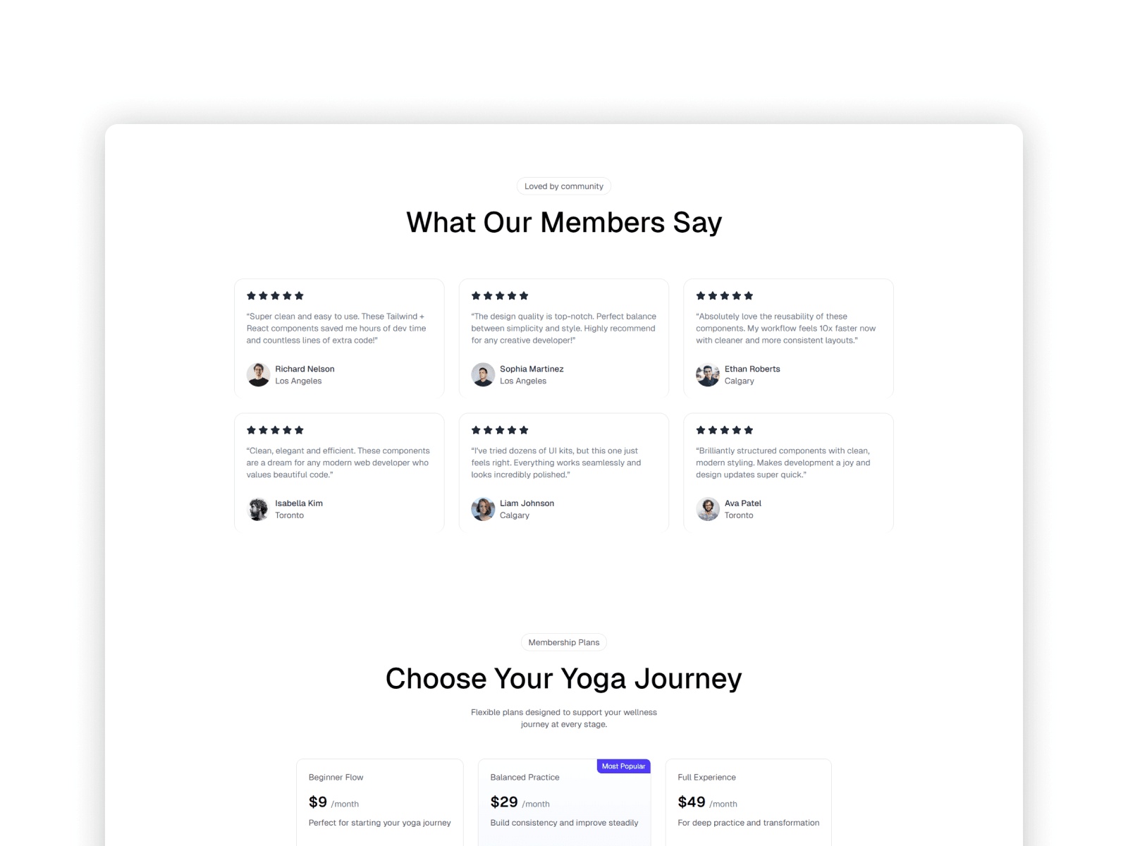 Pricing plans and FAQ section with modern UI